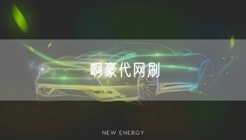 啊豪代网刷