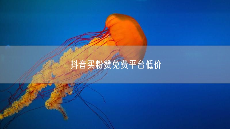 抖音买粉赞免费平台低价